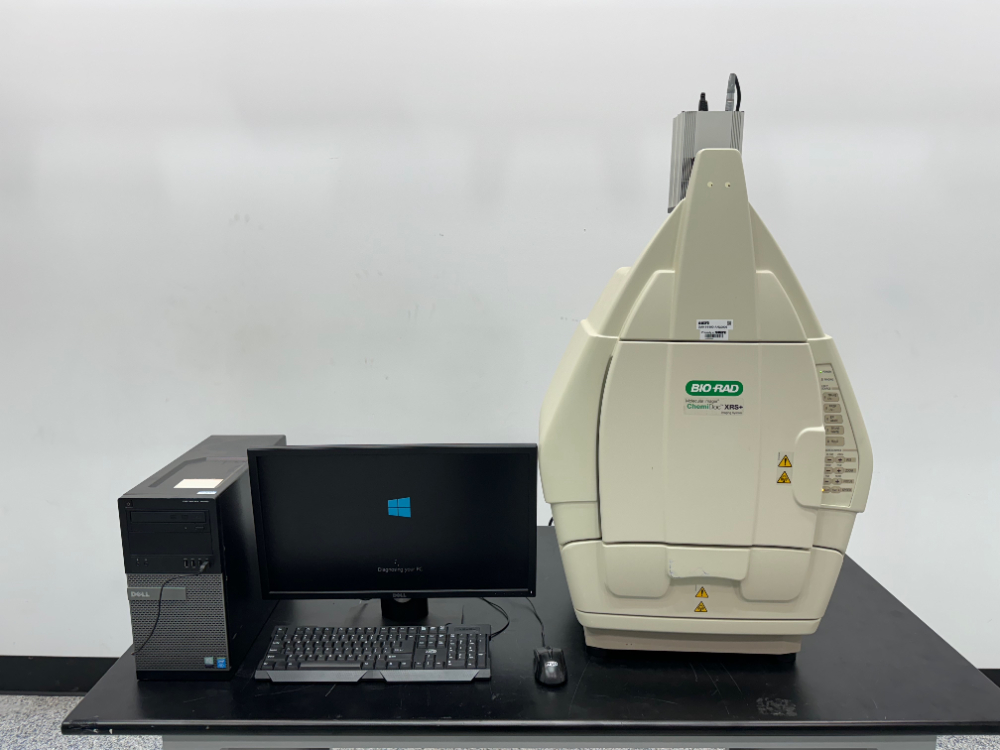 Image of Bio-Rad ChemiDoc XRS+ Molecular Imager